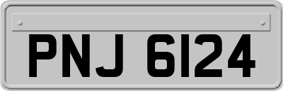 PNJ6124