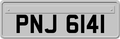 PNJ6141