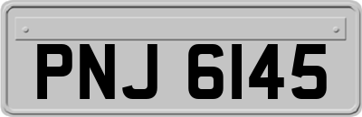 PNJ6145
