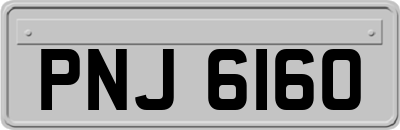 PNJ6160