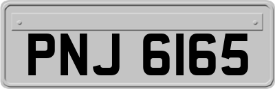 PNJ6165