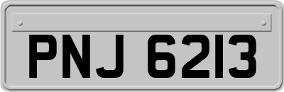 PNJ6213