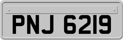 PNJ6219