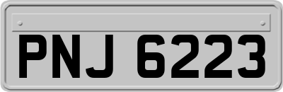 PNJ6223