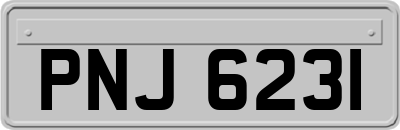 PNJ6231