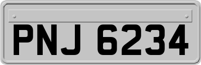 PNJ6234