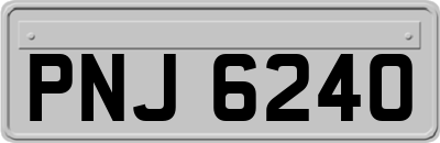 PNJ6240