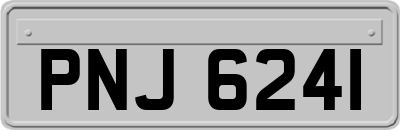 PNJ6241