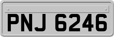PNJ6246