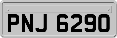 PNJ6290