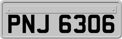 PNJ6306