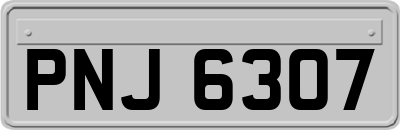 PNJ6307