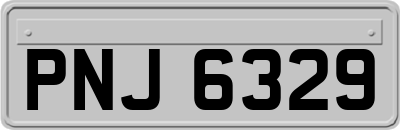 PNJ6329