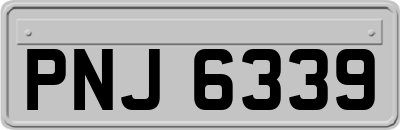 PNJ6339