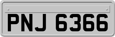 PNJ6366