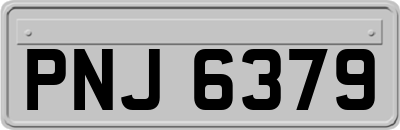 PNJ6379