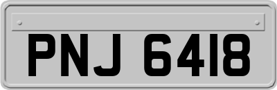 PNJ6418
