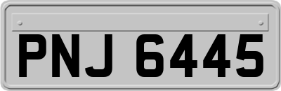 PNJ6445