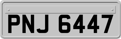 PNJ6447