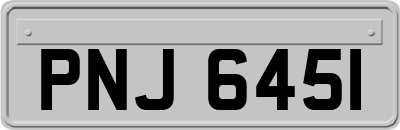 PNJ6451