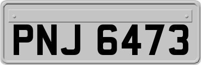 PNJ6473