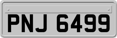 PNJ6499