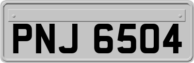PNJ6504