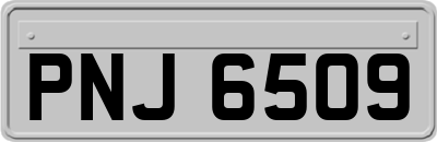 PNJ6509