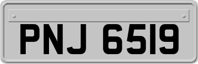 PNJ6519