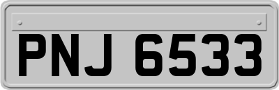 PNJ6533