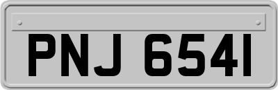 PNJ6541