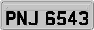 PNJ6543