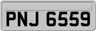 PNJ6559