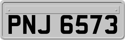 PNJ6573