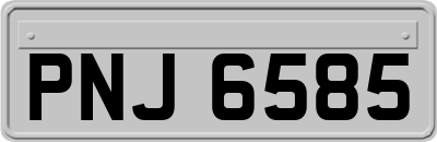 PNJ6585