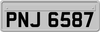 PNJ6587