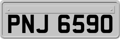 PNJ6590