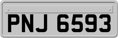 PNJ6593