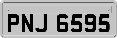 PNJ6595