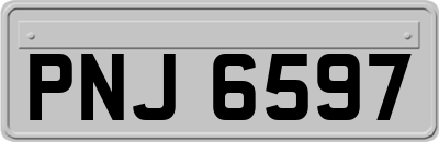 PNJ6597