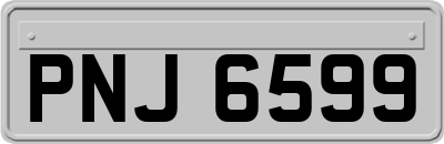 PNJ6599