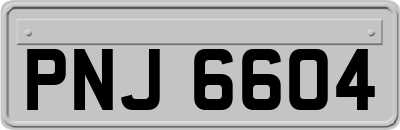 PNJ6604