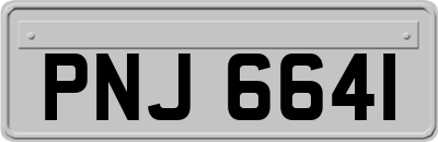 PNJ6641