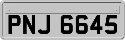 PNJ6645