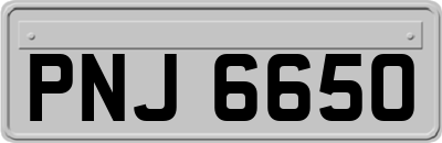 PNJ6650