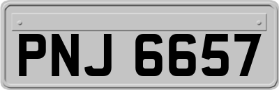 PNJ6657