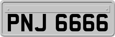 PNJ6666