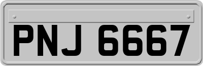 PNJ6667
