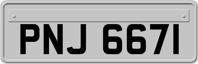 PNJ6671