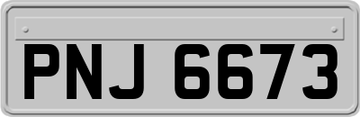 PNJ6673